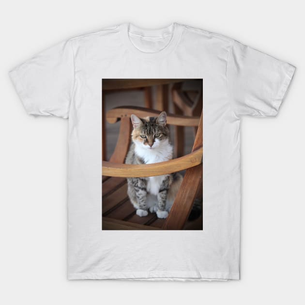 Adorable Tabby Cat T-Shirt by Cynthia48